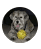 chrome_0ntLzUpqGc wiley r